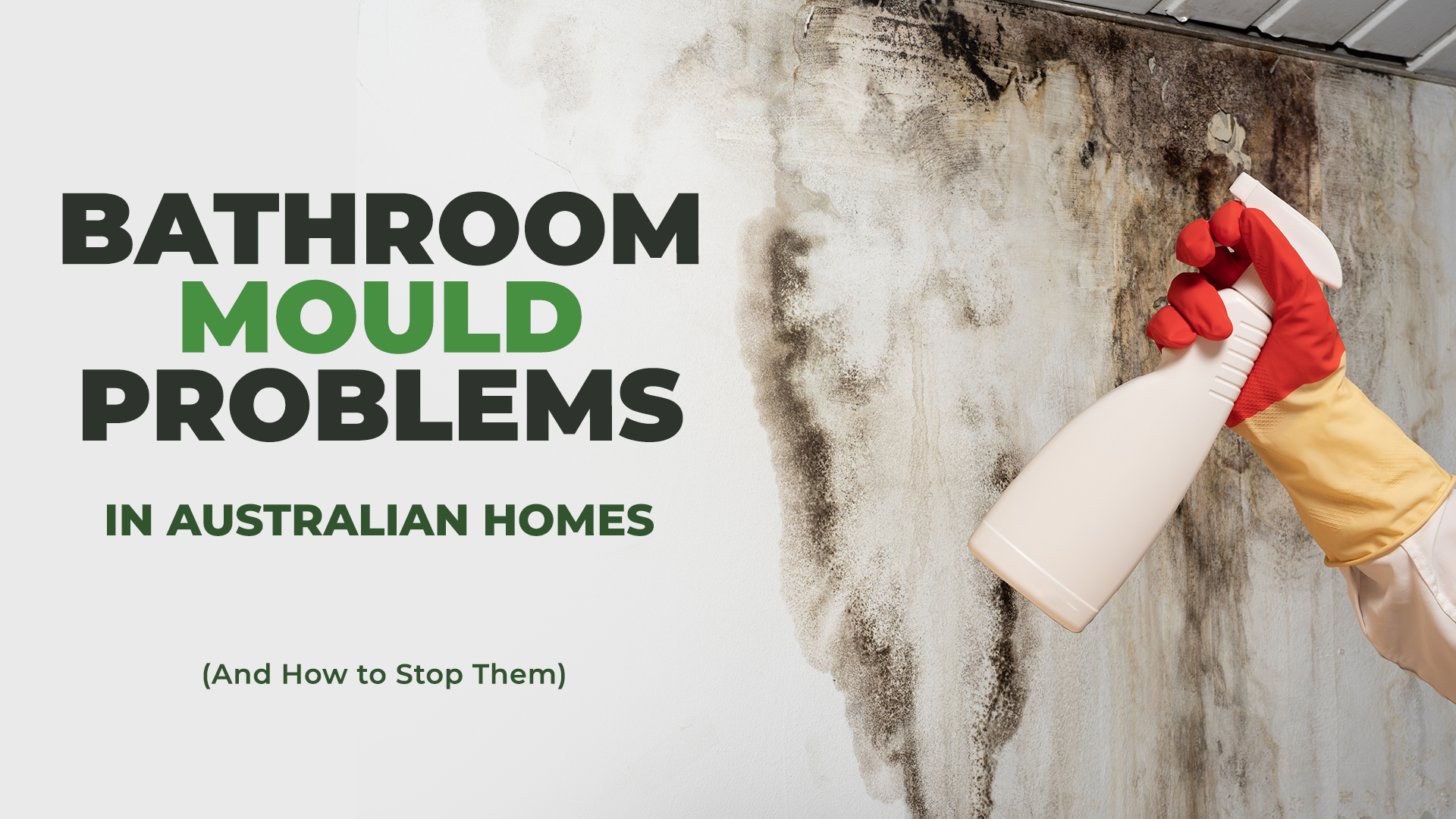 Bathroom Mould in Australian Homes